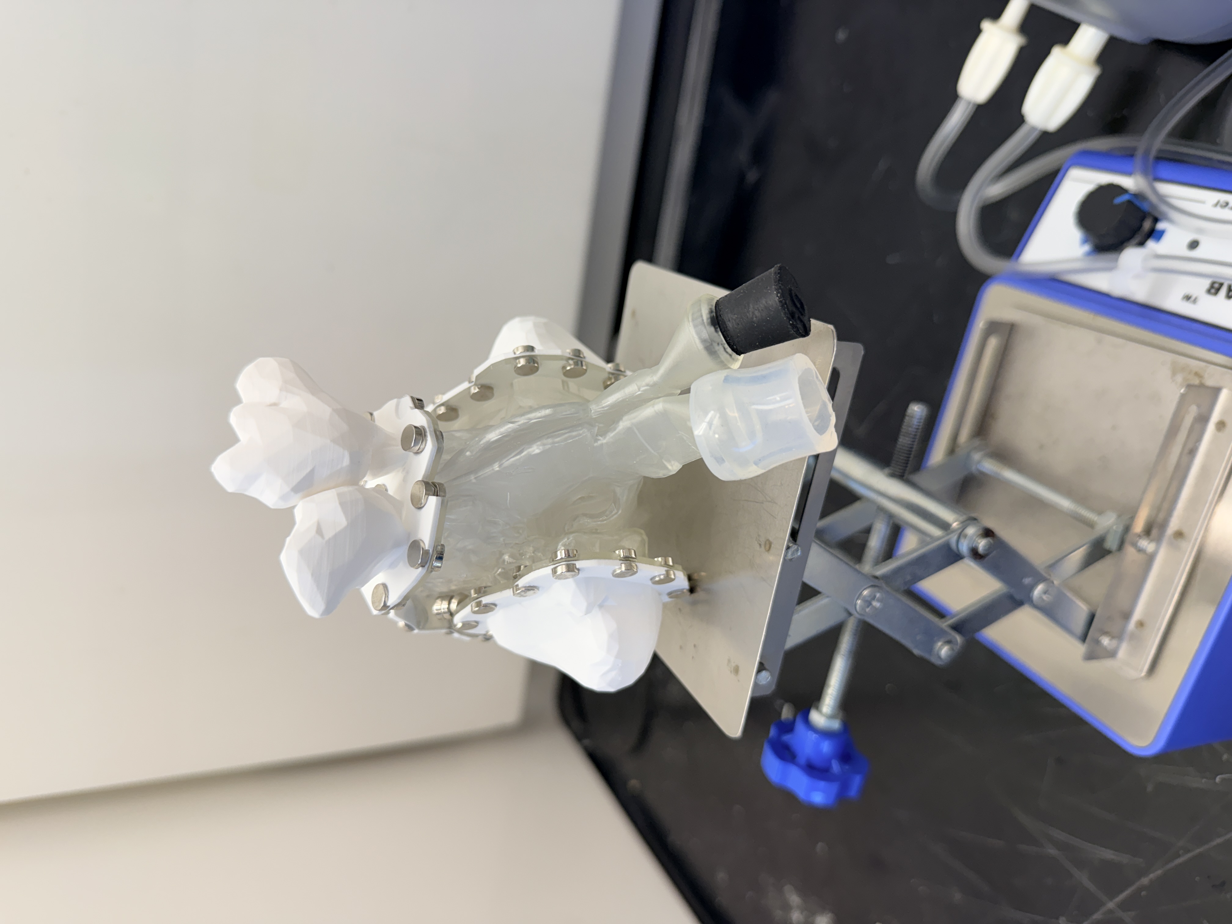 Physical nasal sinus model used for aerosol deposition testing